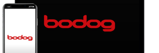About Bodog Betting