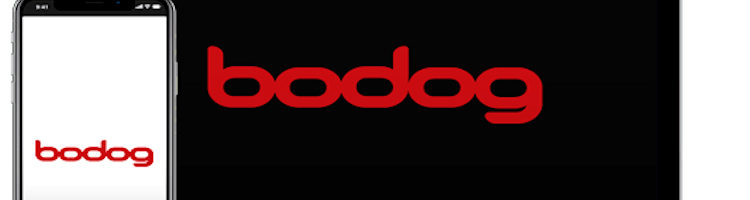 About Bodog Betting